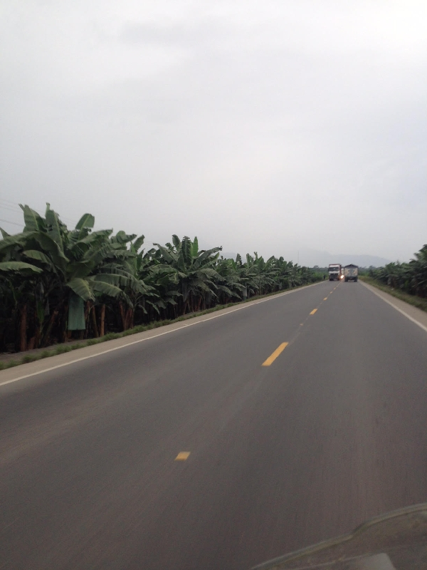 panamericana
