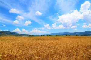 izvor: Općina Podstrana