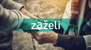 JAVNI POZIV ZA ISKAZ INTERESA ZA SUDJELOVANJE U PROJEKTU “ZAŽELI U SVOM DOMU”