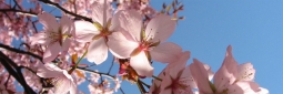 Krajem tjedna stiže prvi proljetni val: temperatura i do 10 stupnjeva viša!