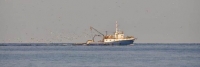 Sudarili se strani teretni brod i splitska ribarica kod otoka Hvara