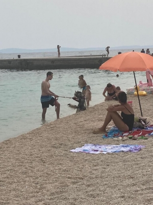 Da li je turistima u Podstrani dopušteno kupanje ljubimaca usred dana i na punoj javnoj plaži