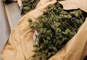 Policija čisti Podstranu od droge: uhićen 26-godišnji diler, u kući su mu našli pola kilograma marihuane i digitalnu vagu