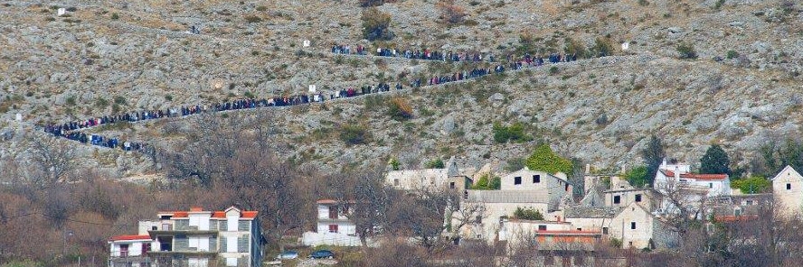 slika:tzpodstrana